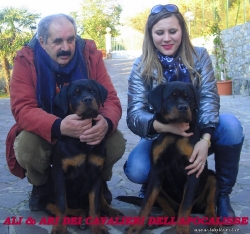 Ali Dei Cavalieri dell'Apocalisse
