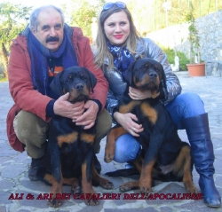 Ali Dei Cavalieri dell'Apocalisse
