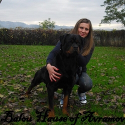 Balou Hause of Avramovic