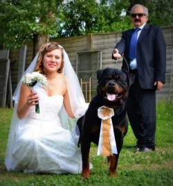 Balou Hause of Avramovic