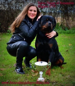 BALOU HAUSE OF AVRAMOVIC