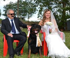 Balou Hause of Avramovic