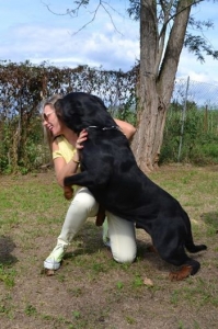 Balou Hause of Avramovic