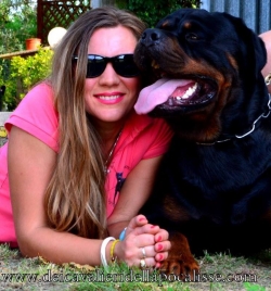 Balou Hause of Avramovic