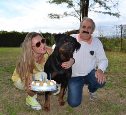 Balou Hause of Avramovic