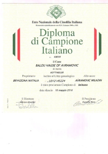 Balou Hause of Avramovic