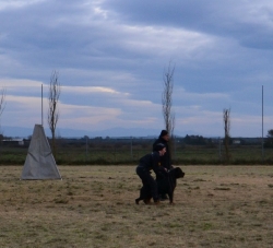 Balou Hause of Avramovic