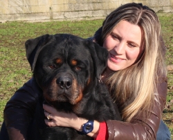 Balou Hause of Avramovic