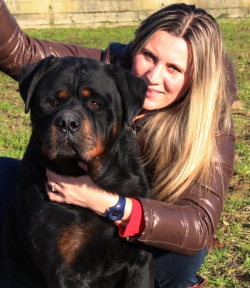 Balou Hause of Avramovic