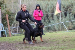 Combo Master Field X Olga Dei Cavalieri dell'Apocalisse