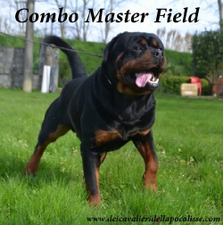 COMBO MASTER FIELD 