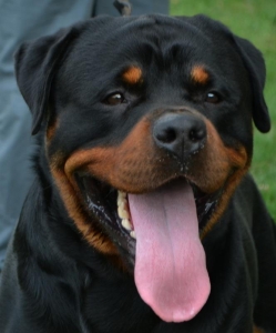 OMAR 